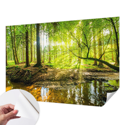 Papier peint chambre parentale Zelená krajina
