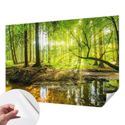 Papier peint chambre parentale Zelená krajina