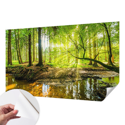 Papier peint chambre parentale Zelená krajina