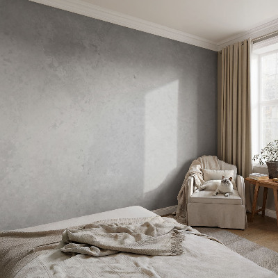 Papier peint tendance salon Elegantná sivá