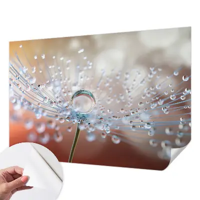 Papier peint photo sur tissu non tissé Une goutte sur un pissenlit