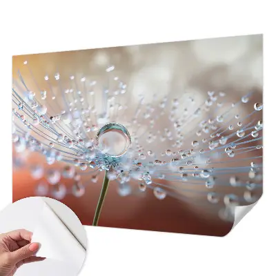 Papier peint photo sur tissu non tissé Une goutte sur un pissenlit