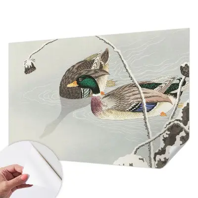 Papier peint photo sur tissu non tissé Canards calmes