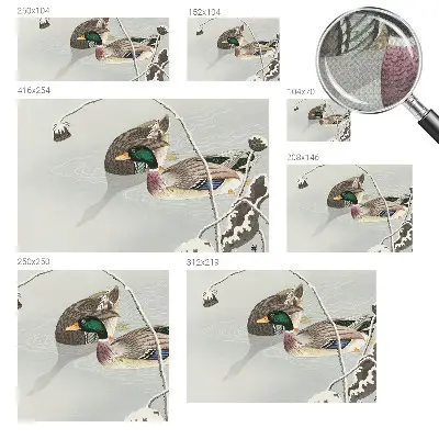 Papier peint photo sur tissu non tissé Canards calmes