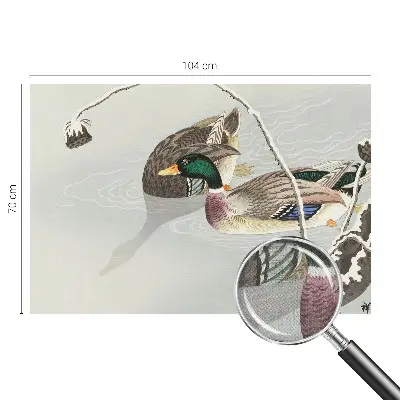 Papier peint photo sur tissu non tissé Canards calmes