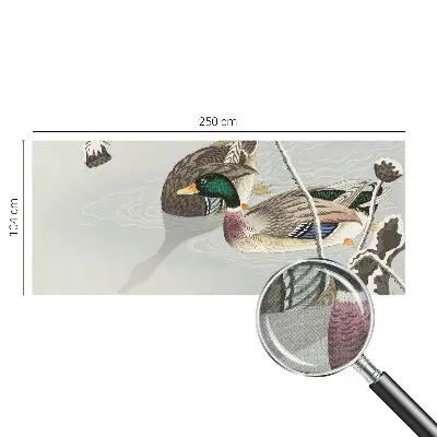 Papier peint photo sur tissu non tissé Canards calmes