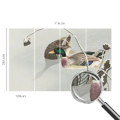 Papier peint photo sur tissu non tissé Canards calmes