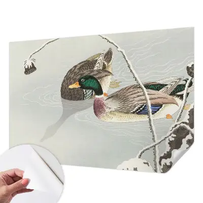 Papier peint photo sur tissu non tissé Canards calmes