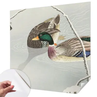 Papier peint photo sur tissu non tissé Canards calmes