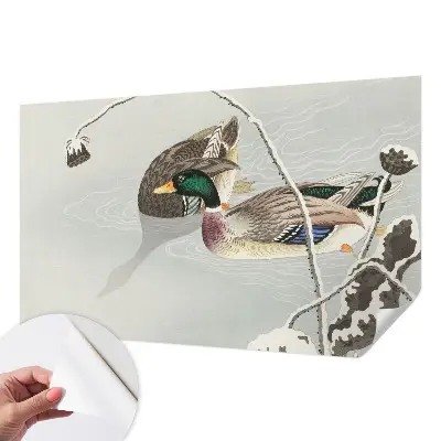 Papier peint photo sur tissu non tissé Canards calmes