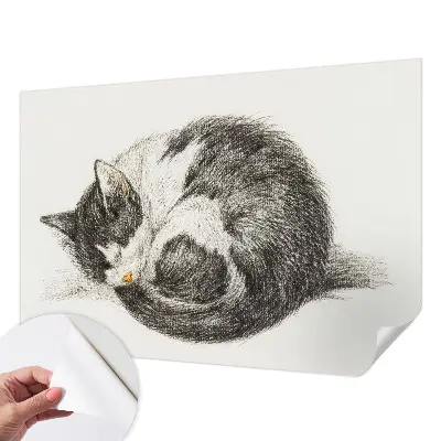 Papier peint photo sur tissu non tissé adorable chaton