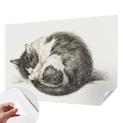 Papier peint photo sur tissu non tissé adorable chaton
