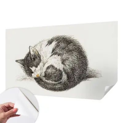 Papier peint photo sur tissu non tissé adorable chaton
