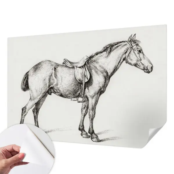 Papier peint photographique intissé Croquis d'un cheval