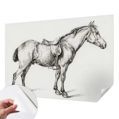 Papier peint photographique intissé Croquis d'un cheval