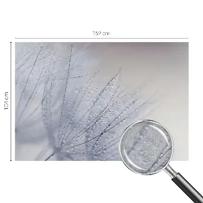 Papier peint intissé pissenlit couvert de rosée