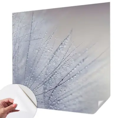 Papier peint intissé pissenlit couvert de rosée