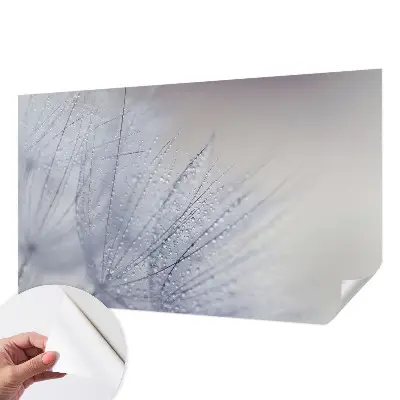 Papier peint intissé pissenlit couvert de rosée