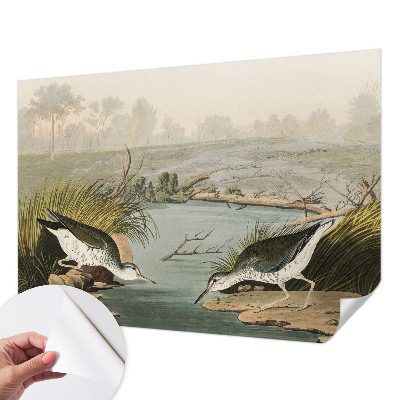Papier peint chambre garçon Pokojná krajina