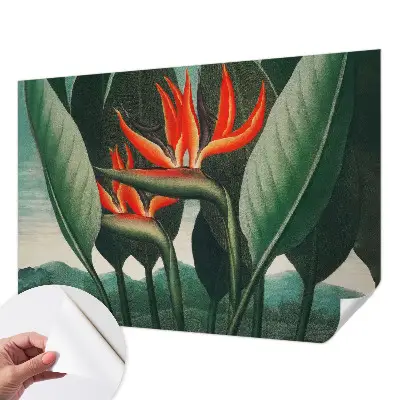 Papier peint photo sur tissu non tissé Fleurs exotiques