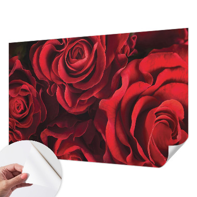 Papier peint chambre adulte cocooning Červené ruže