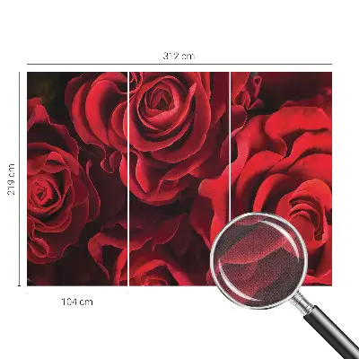 Papier peint photographique intissé roses rouges
