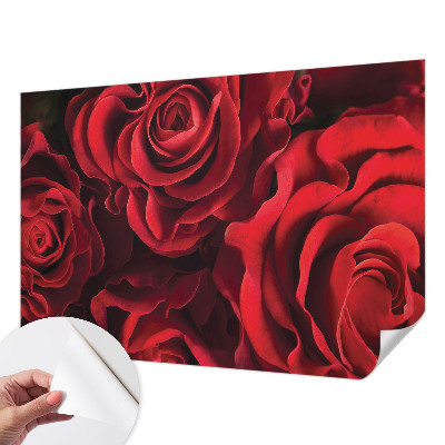 Papier peint chambre adulte cocooning Červené ruže