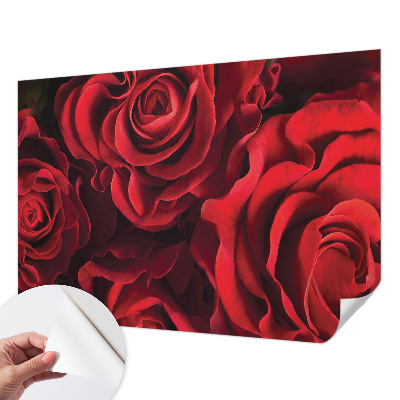 Papier peint chambre adulte cocooning Červené ruže