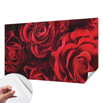 Papier peint chambre adulte cocooning Červené ruže