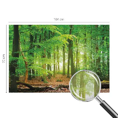Papier peint photo imprimé sur tissu non tissé Forêt verte