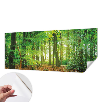Papier peint chambre parentale Zelený les