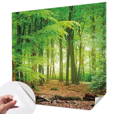 Papier peint photo imprimé sur tissu non tissé Forêt verte