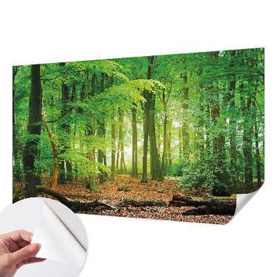 Papier peint chambre parentale Zelený les
