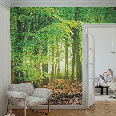 Papier peint chambre parentale Zelený les
