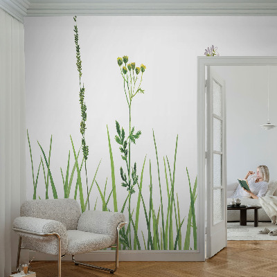 Papier peint chambre garçon Jemná flóra
