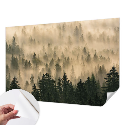 Papier peint tendance chambre adulte Lesná hmla