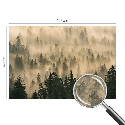 Papier peint tendance chambre adulte Lesná hmla