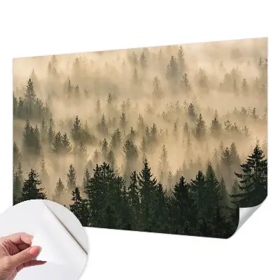 Papier peint photographique intissé brouillard forestier