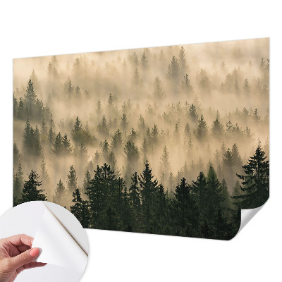 Papier peint tendance chambre adulte Lesná hmla