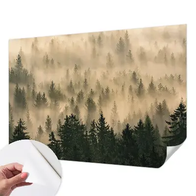 Papier peint photographique intissé brouillard forestier