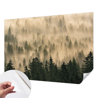 Papier peint tendance chambre adulte Lesná hmla