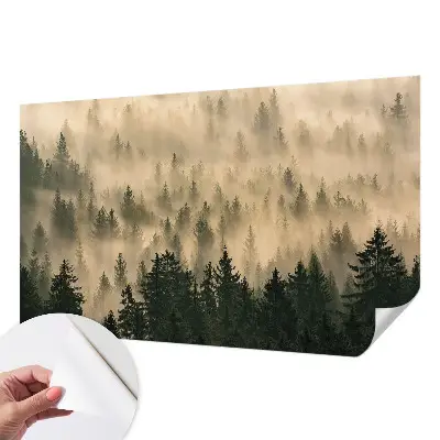 Papier peint photographique intissé brouillard forestier