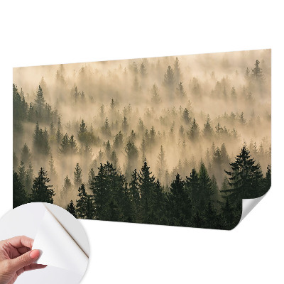 Papier peint tendance chambre adulte Lesná hmla