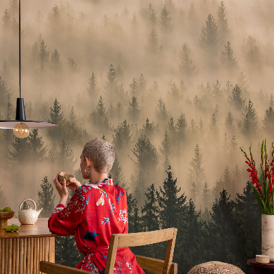 Papier peint tendance chambre adulte Lesná hmla