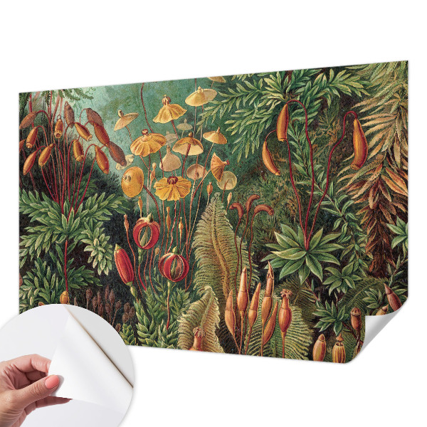 Papier peint panoramique pas cher Exotická záhrada