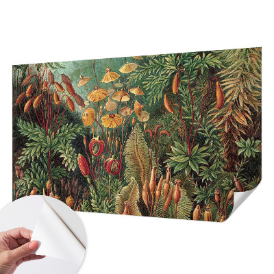 Papier peint panoramique pas cher Exotická záhrada