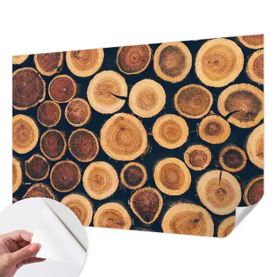 Papier peint photo grand format pour le mur cercles en bois