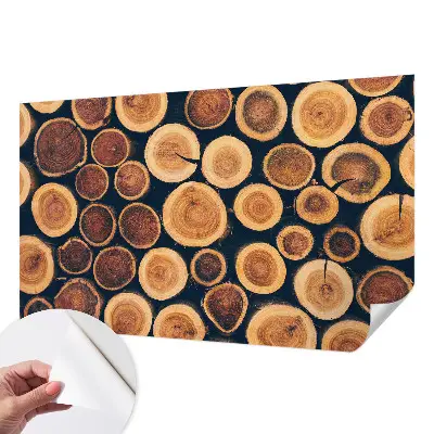 Papier peint photo grand format pour le mur cercles en bois