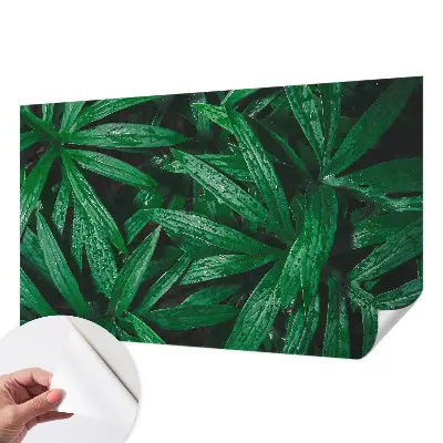 Papier peint intissé verdure naturelle
