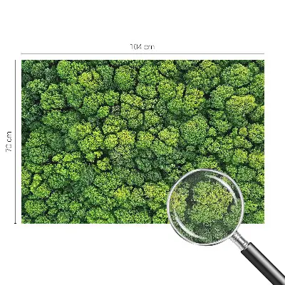Papier peint photo grand format pour le mur Panorama forestier